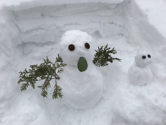 20170102_020711100_ios